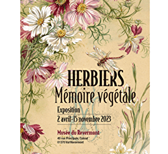 Expositon Herbiers. Mémoire végétale au musée du Revermont - VAL-REVERMONT